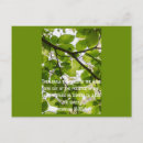 Suche nach christen postkarten Schrift