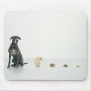 Suche nach deutsche doggen mousepads Tiere