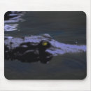 Recherche de gatto tapis souris Alligator