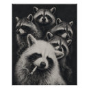 Recherche de ratons laveurs posters Animaux de la forêt