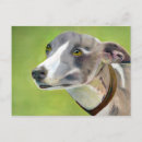 Suche nach whippets postkarten Sehenswürdigkeit