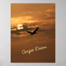Suche nach karpfen poster Sonnenaufgang