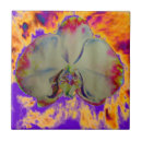 Suche nach bohmisch fliesen Stilvoll