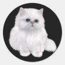 Recherche de persan chat autocollants Animal