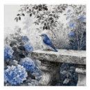 Recherche de hortensias bleus posters Aquarelle