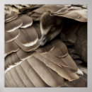 Recherche de jeune animal posters Oiseau