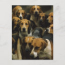 Suche nach die jagdhunde postkarten Im freien