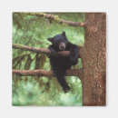 Recherche de environnement magnets Faune
