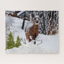 Recherche de mulets photographie Faune