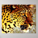 Recherche de angry cat posters Animal