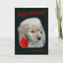 Recherche de chiot golden retriever vœux cartes D'anniversaire