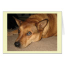 Suche nach liebenswürdig postkarten Glücklich