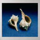 Suche nach artefakte poster Aus