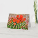 Suche nach cactus karten Arizona