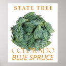 Suche nach der colorado poster Natur