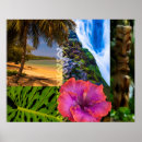 Suche nach tiki poster Hibiskus