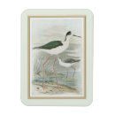 Recherche de la floride magnets Marécage