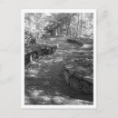 Suche nach black and white postkarten Nature