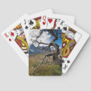 Recherche de chilien jeux de cartes Latino américain