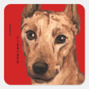 Suche nach pinscher aufkleber Hund