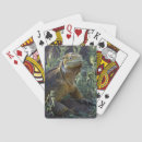 Recherche de reptile photographie Iguana