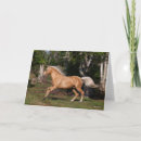 Suche nach lusitano karten Palomino