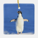 Suche nach lustige pinguine ornamente Schnee
