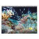 Recherche de scaphandre bureau fournitures Poissons