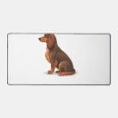 Suche nach dachshunds elektronik zubehör Wolf