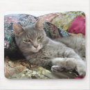 Recherche de caresse tapis souris Mignon