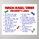 Suche nach parson russell terrier Niedlich