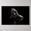 Recherche de silhouette de chien posters Chiot