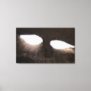 Recherche de yeux art Nature