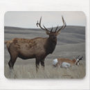 Suche nach antilope mousepads Antilocapra americana