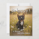 Suche nach humorvolle zitate postkarten Humorvolles katzen zitat