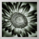 Suche nach mario poster Blume