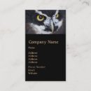 Recherche de hibou blanc cartes visite Noir