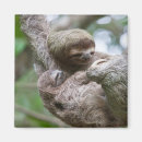 Suche nach sloth magnete Hang