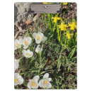 Recherche de jonquilles porte blocs Jaune