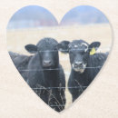 Recherche de bovin dessous de verres Vaches