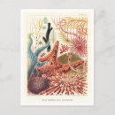 Recherche de bari cartes postales Illustration