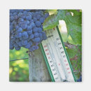 Suche nach trauben magnete Weinbau