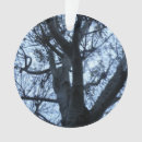 Suche nach baum silhouette ornamente Bäume