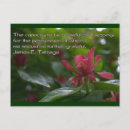 Suche nach die dankbarkeit postkarten Blume