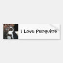 Suche nach der pinguin autoaufkleber Wild