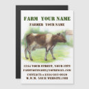 Suche nach kühe magnete büro schule Tierarzt