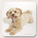 Suche nach canis untersetzer Natur