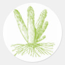 Suche nach spargel aufkleber Grün