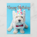 Suche nach lustige für hunde karten Party