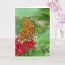 Recherche de papillon fritillaire cartes postales Jardin